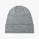 Champion Beanie