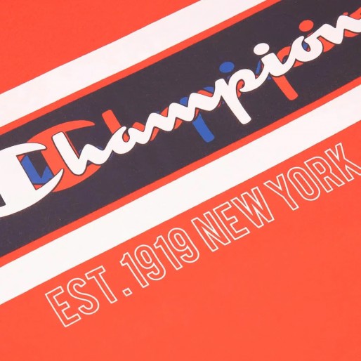 Champion Crewneck Champion Crewneck