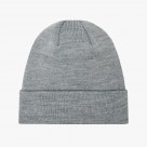 Champion Beanie
