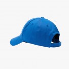 Champion Baseball