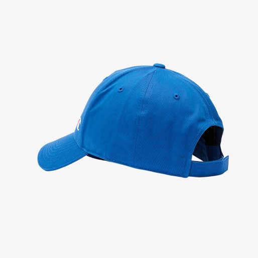 Champion Baseball