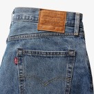 Levis The Baggy Family