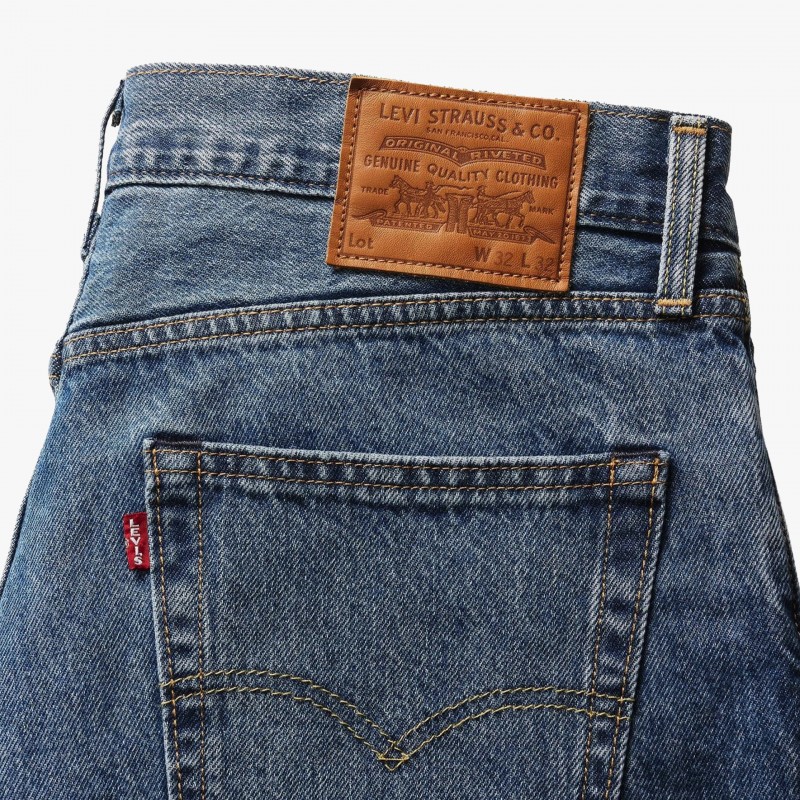 Levis The Baggy Family